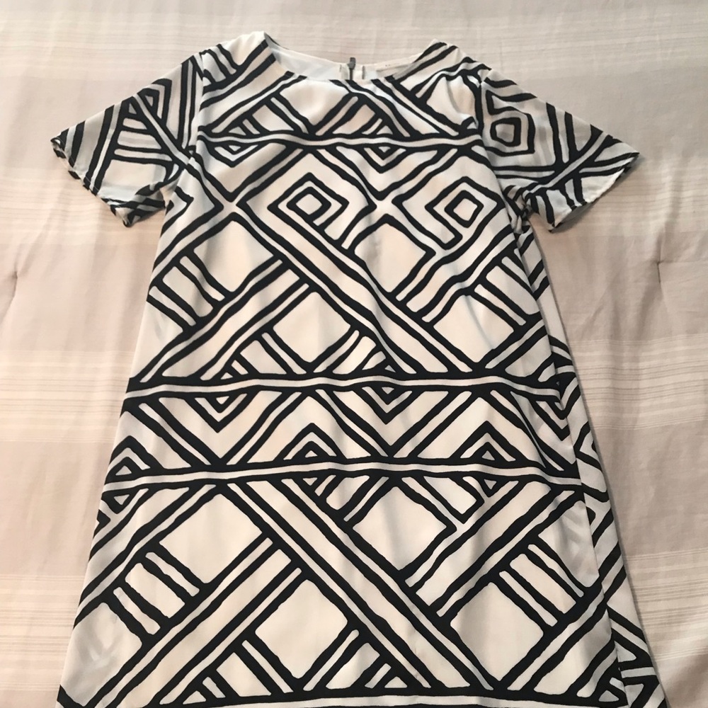 Fancy Shirt Dress